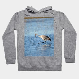 Sandhill Crane Wading thru Malheur NWR Hoodie